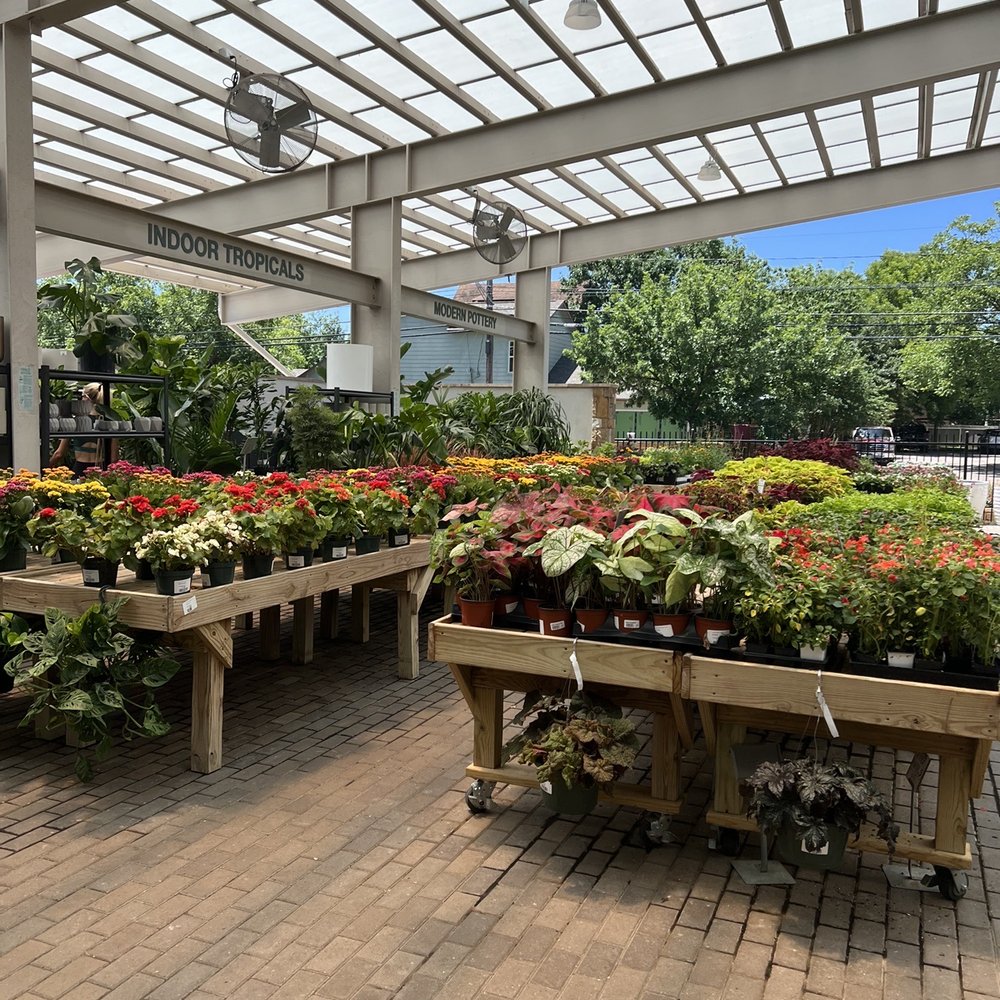 Shoal Creek Nursery - Outdoor area - Nurseries & Gardening Near Me - Austin, Texas Shoal Creek Nursery - Outdoor area - Nurseries & Gardening Near Me - Austin, Texas
