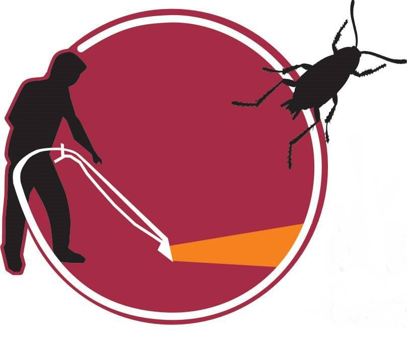 CARPETS & CRITTERS Mudjimba Queensland, Australia Carpet Cleaning