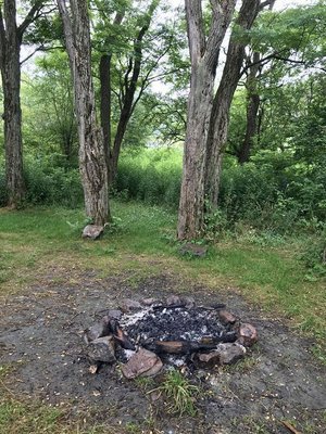 Finger Lakes National Forest by null