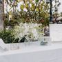 ALove Story Events
