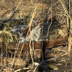 Buttermilk Falls Park