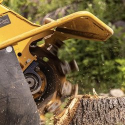 Black's Tree Service