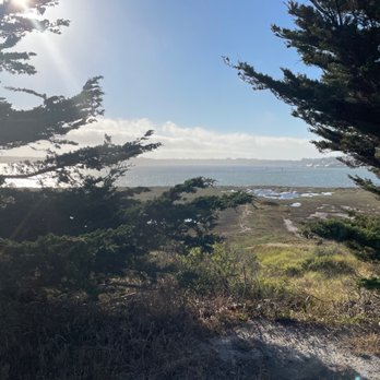 Bird Walk Coastal Access Trail - Parks Near Me - Bodega Bay, California Bird Walk Coastal Access Trail - Parks Near Me - Bodega Bay, California