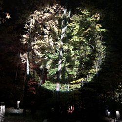 Tonga Lumina - Cool effects