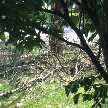 Smitty's Tree Service - Landscaping Near Me - Alsip, Illinois