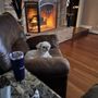 Photo of Heavenly Pet Cremations