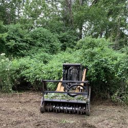 IMS Forestry Services