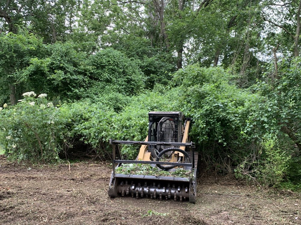 IMS Forestry Services - tree service in St. Louis, MO