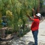 Photo of Emmanuel Tree Service