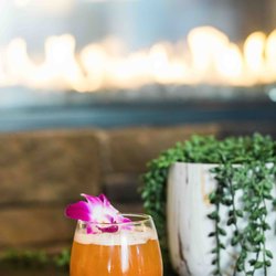 Sakura Mai Tai