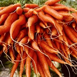 Millbrae Farmers' Market - Carrots
