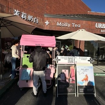 Molly Tea - Bubble Tea Near Me - Sunnyvale, California Molly Tea - Bubble Tea Near Me - Sunnyvale, California