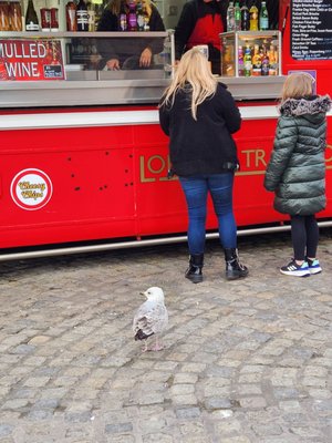 Maritime Museum by null