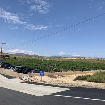 Temecula Berry - View of farm going downhill - Farms Near Me - Temecula, California