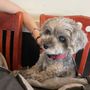 Photo of Wolfville Animal Hospital