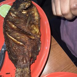 El Toro Mexican Grill and Bar - Mojarra Frita
