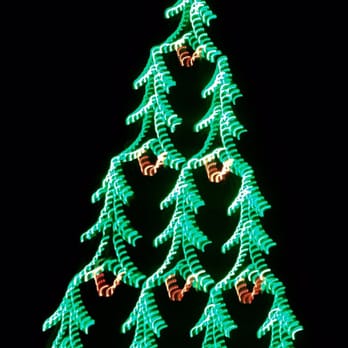Shelby Farms Park - O Christmas tree, O Christmas tree... - Parks Near Me - Memphis, Tennessee Shelby Farms Park - O Christmas tree, O Christmas tree... - Parks Near Me - Memphis, Tennessee