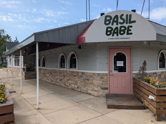 Basil Babe by null