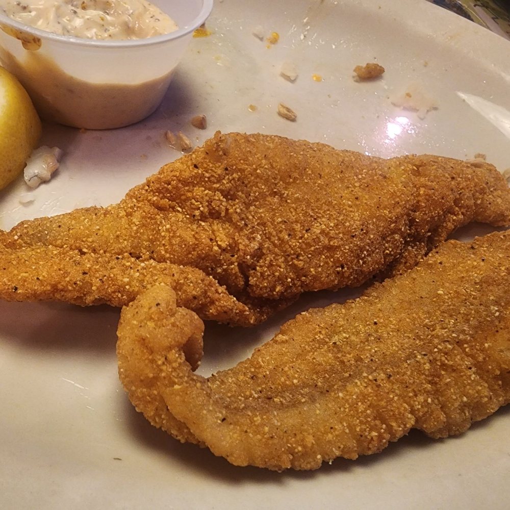 Fish Fish