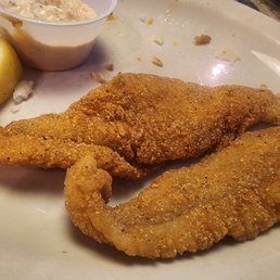 Fish Fish