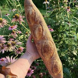 Baguette!