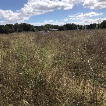 Lake Catherine Blueberries - Fruits & Veggies Near Me - Groveland, Florida
