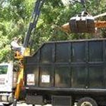 Cricket's Tree Service - untitled - Tree Services Near Me - Tallahassee, Florida