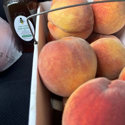 Robb Farms