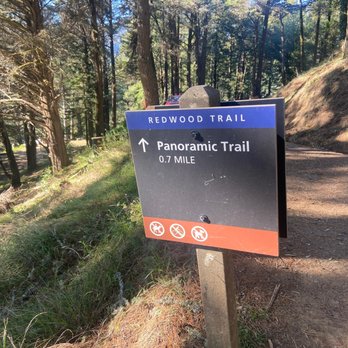 Dipsea - Hiking Near Me