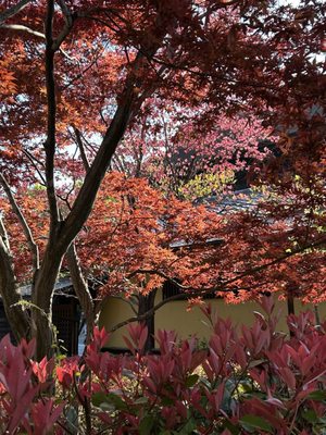Zenkōji temple by null