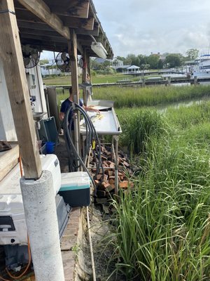 Abundant Seafood by null