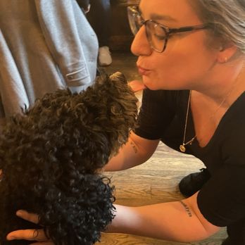Woodbines - Such sweet cuddles! - Irish Near Me - Long Island City, New York