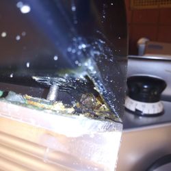 Food Lion # 1271 - Broken guard of the cheese slicer.