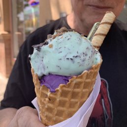 Mint Chocolate Chip Gelato
