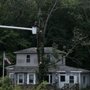 Photo of Dependable Tree Service