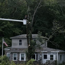 Dependable Tree Service - Still working took all day because they dropped a pain tree right next to house