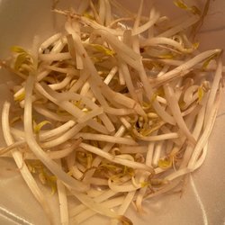 Pho Charlotte - Sad browning bean sprouts