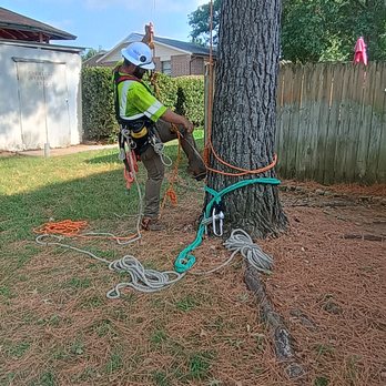 J & M Tree Service - Tree Services Near Me J & M Tree Service - Tree Services Near Me