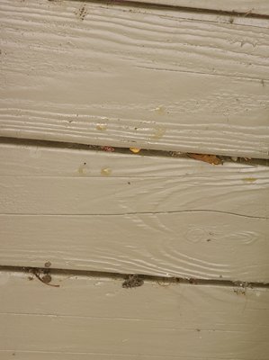 Income Property Management