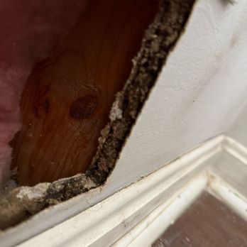 Brick Street Plumbing & HVAC - Wet and moldy drywall - Plumbing Near Me - Frederick, Maryland Brick Street Plumbing & HVAC - Wet and moldy drywall - Plumbing Near Me - Frederick, Maryland