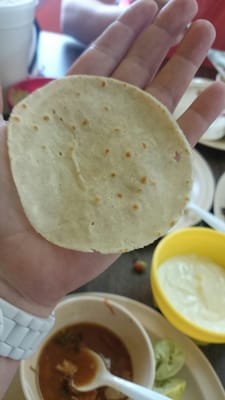 Kikis by null