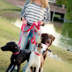 Magen & Me, LLC - A photo shoot while holding 3 dogs :)