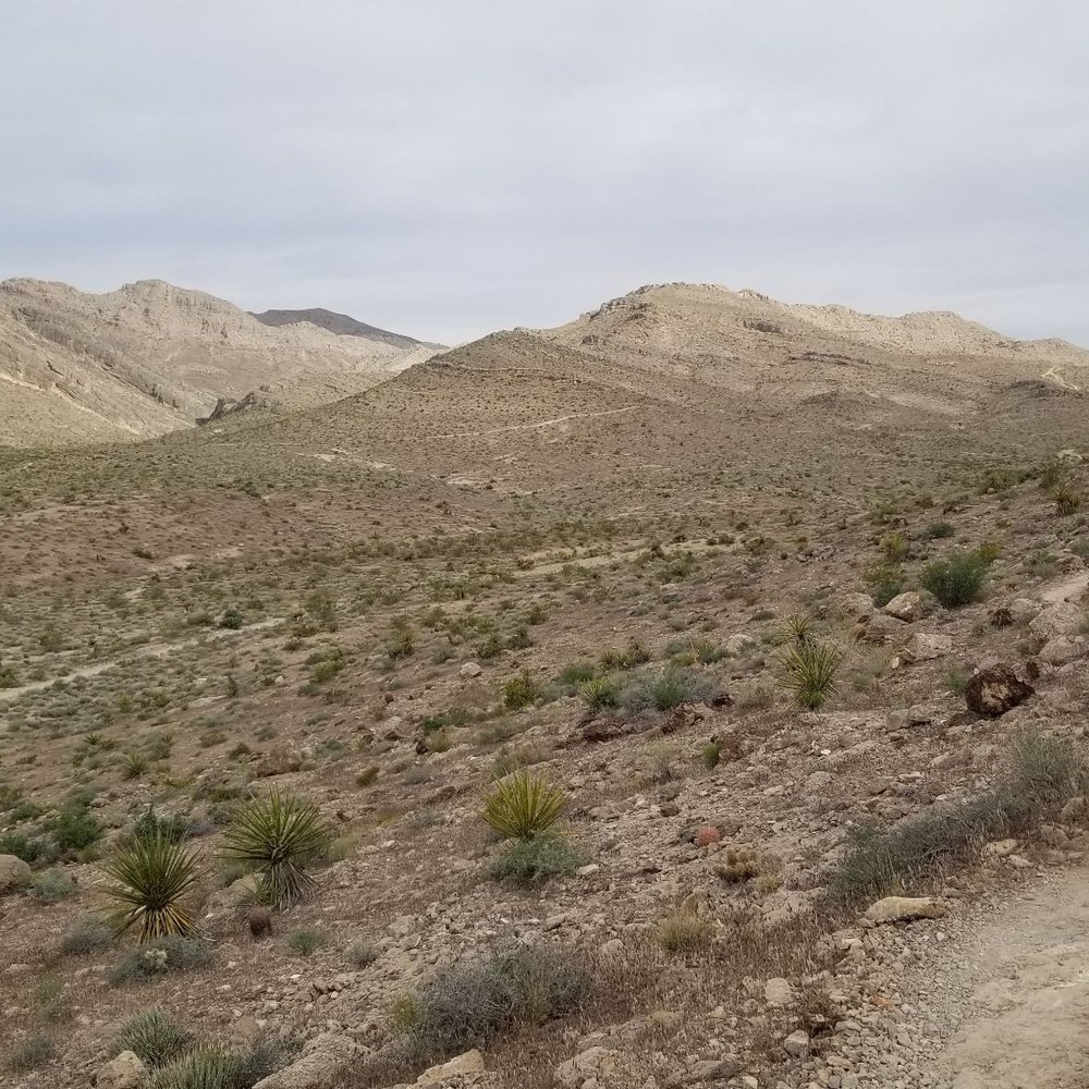 Buckskin Cliff Shadows Trailhead - Hiking Near Me Buckskin Cliff Shadows Trailhead - Hiking Near Me