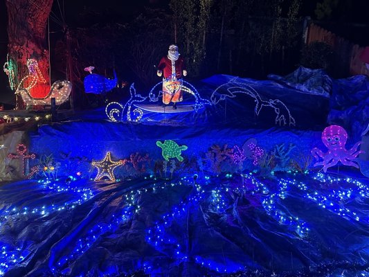 Carlsbad Christmas House