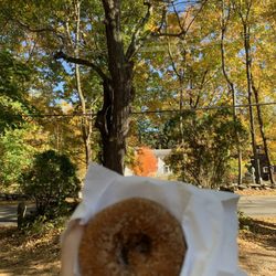 Honey Pot Hill Orchards in Stow gift card