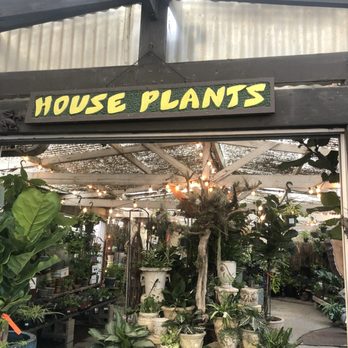 Terra Sol Garden Center - House plant section - Nurseries & Gardening Near Me - Santa Barbara, California Terra Sol Garden Center - House plant section - Nurseries & Gardening Near Me - Santa Barbara, California