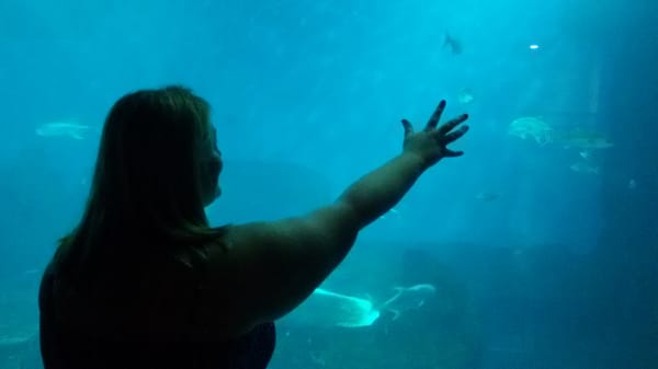 Sevilla Aquarium by null