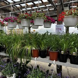 Ken’s Country Produce