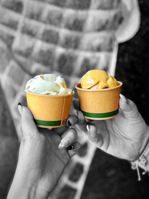 Lush Gelato by null Lush Gelato by null