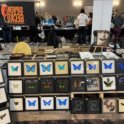 Chasing Butterflies